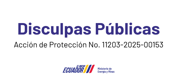 Disculpas Públicas